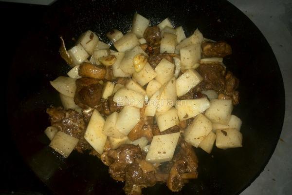 白萝卜炖鸭肉的做法图解8
