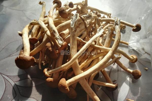 干锅茶树菇的做法图解1