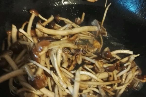 干锅茶树菇的做法图解4