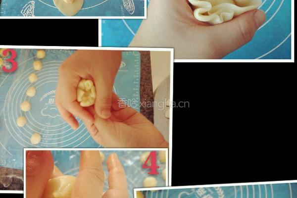 老婆饼（香椰芝麻糯米馅）的做法图解11