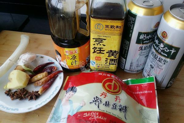 啤酒焖大鹅的做法图解1