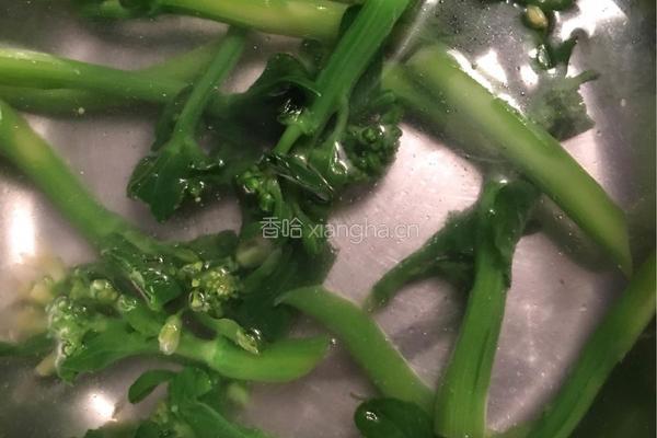 白灼芥兰的做法图解5
