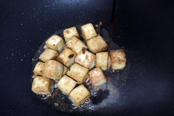 黄豆酱焖煮豆腐的做法图解9
