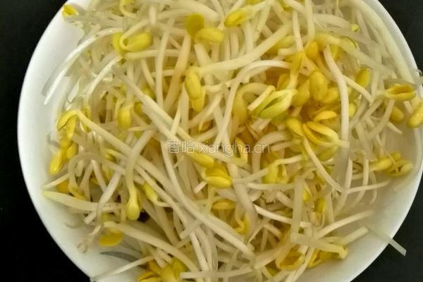老干妈炝豆芽的做法图解1