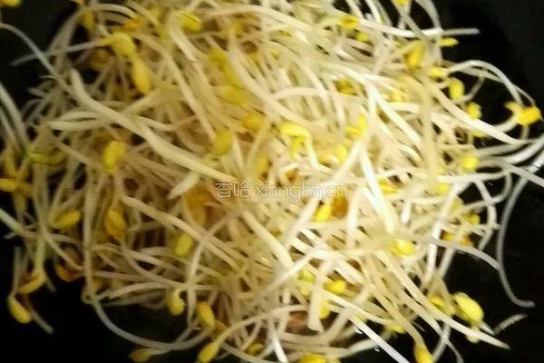 老干妈炝豆芽的做法图解5