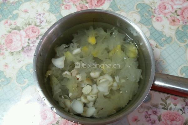 冰糖莲子银耳羹的做法图解2