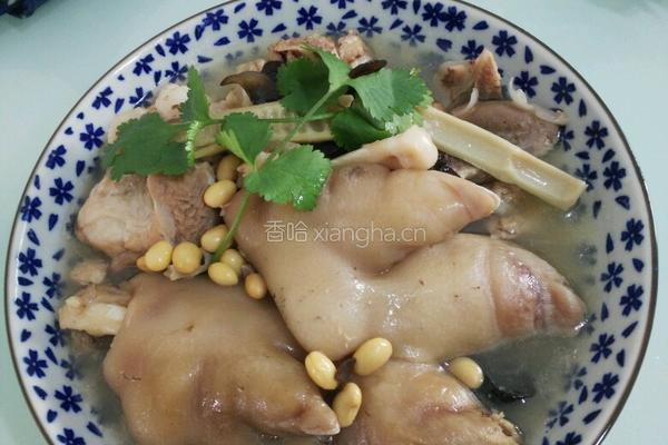 小黄豆炖猪脚肉骨头的做法图解9
