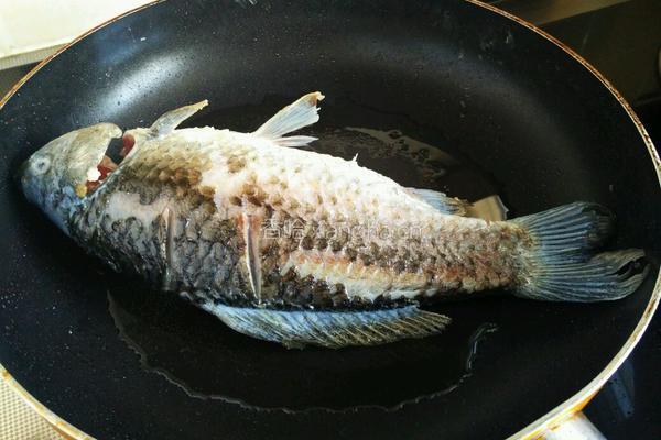 黄豆炖鲫鱼的做法图解3