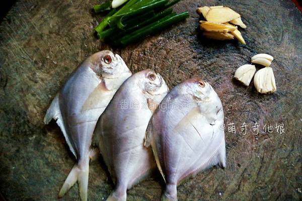 黄豆酱蒸鲳鱼的做法图解3