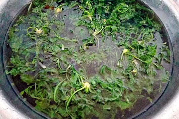 荠菜肉包子的做法图解8