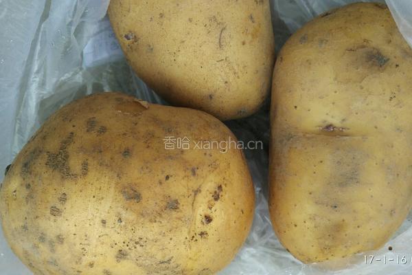 清炒土豆的做法图解1