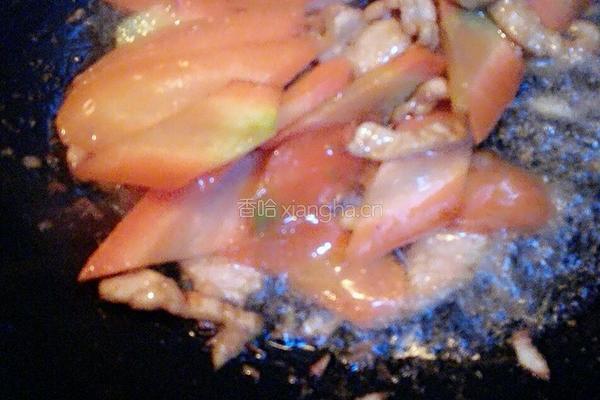 小炒白灵菇的做法图解10
