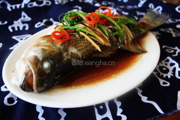 黄豆酱豉油蒸鲈鱼