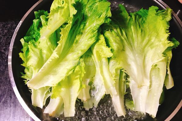 蚝油生菜的做法图解5