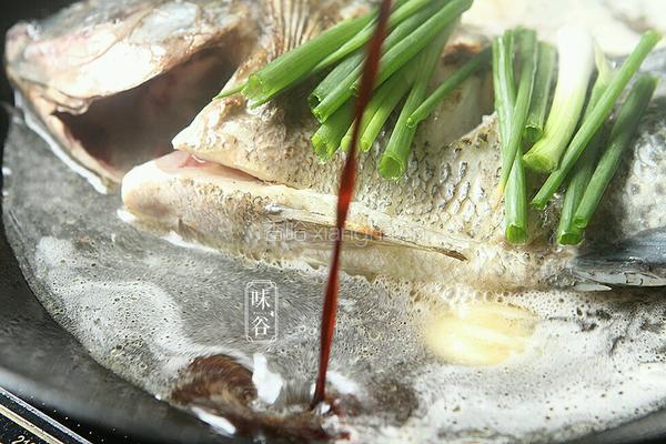 红烧鱼的做法图解8