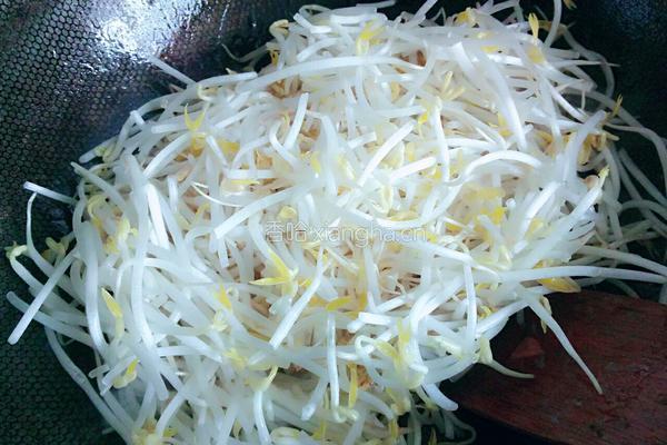 炝爆绿豆芽的做法图解4