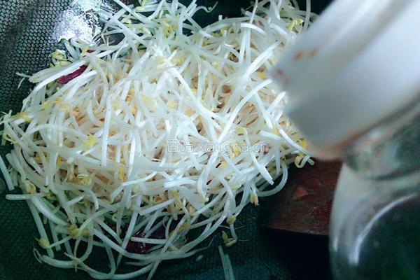 炝爆绿豆芽的做法图解6