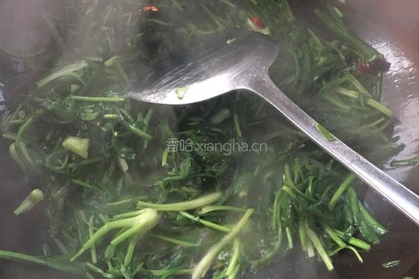 韭菜炒香菜的做法图解5