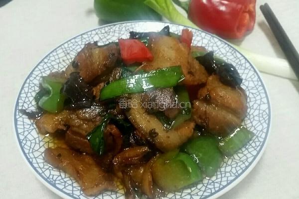 回锅肉的做法图解11