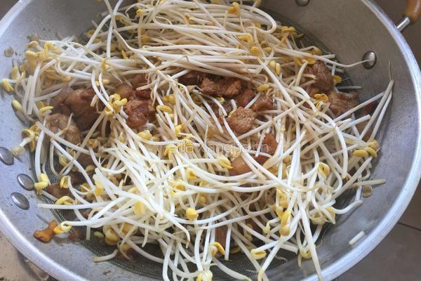 豆芽烧肉的做法图解7