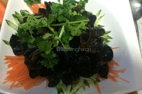 捞汁木耳的做法图解16