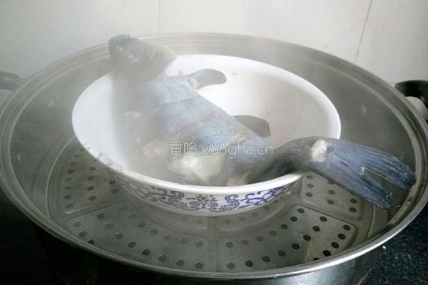 清蒸桂鱼的做法图解6