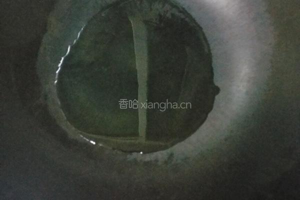 老干妈千页豆腐的做法图解4