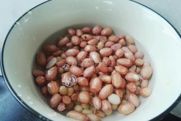 黄豆花生浆的做法图解2