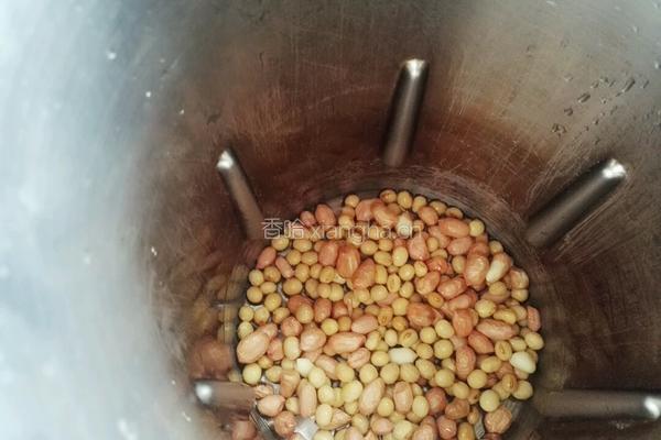 黄豆花生浆的做法图解3