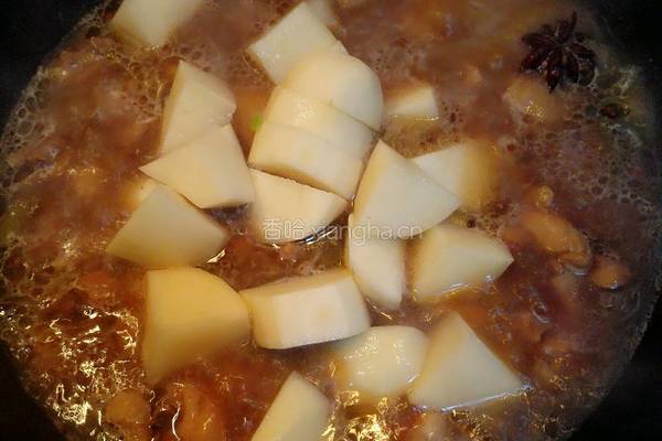 土豆炖鸡块的做法图解14