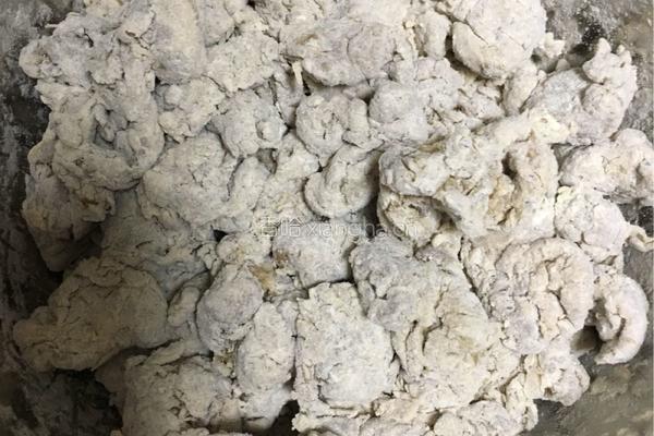 西安坊上粉蒸肉的做法图解10