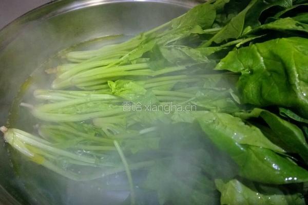 凉拌菠菜的做法图解3
