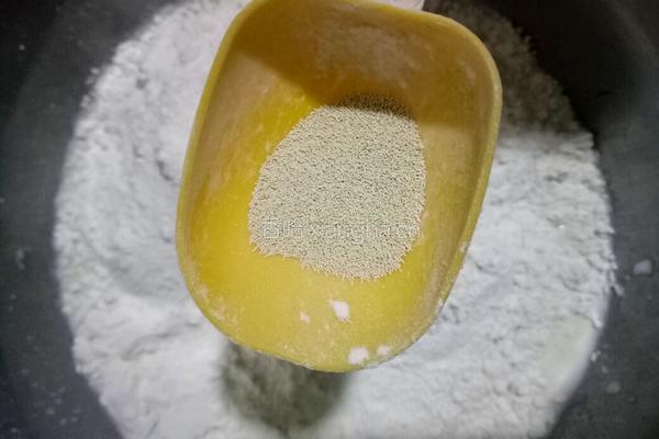自制油饼的做法图解5