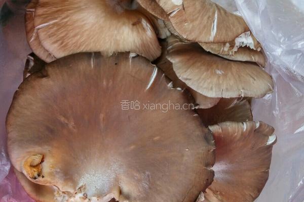 炒蘑菇的做法图解1