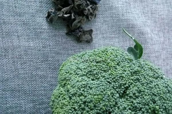 凉拌西兰花黑木耳的做法图解2