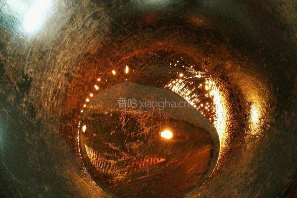 西兰花炒虾仁的做法图解5