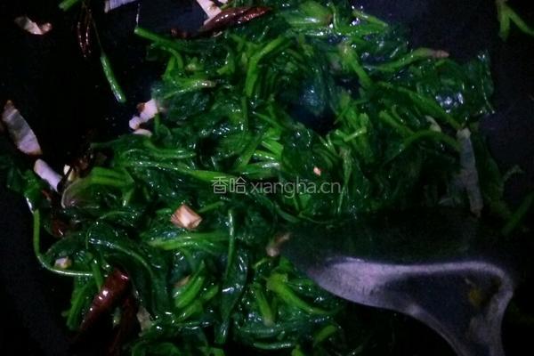 炝菠菜的做法图解9