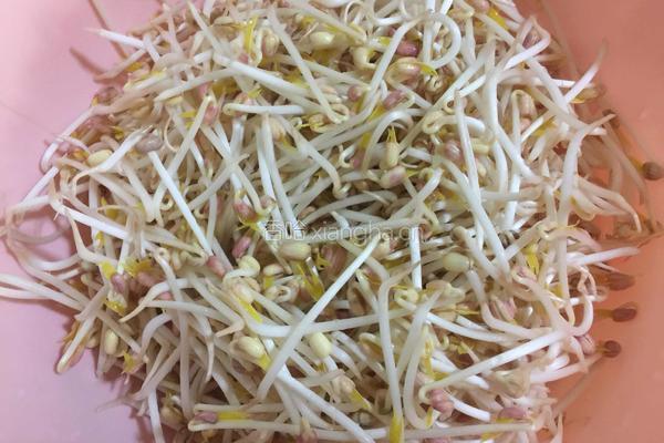 绿豆芽炒粉丝的做法图解2