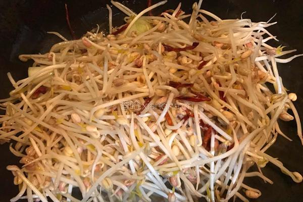 绿豆芽炒粉丝的做法图解7