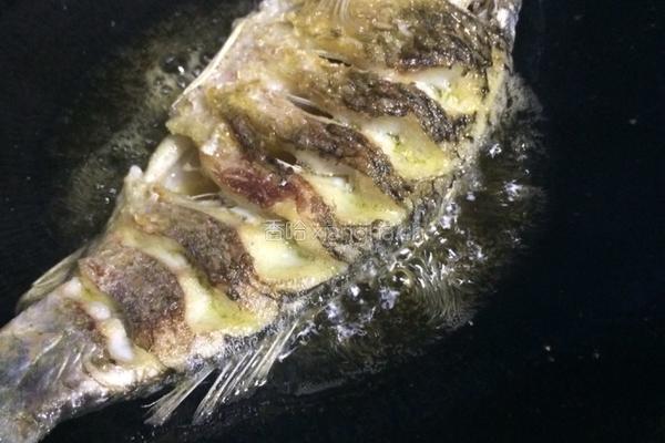 黄豆酱烧鲫鱼的做法图解4