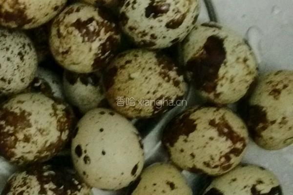 五香黄豆酱鹌鹑蛋的做法图解1