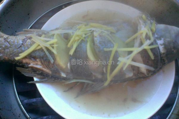 清蒸鲤鱼的做法图解4