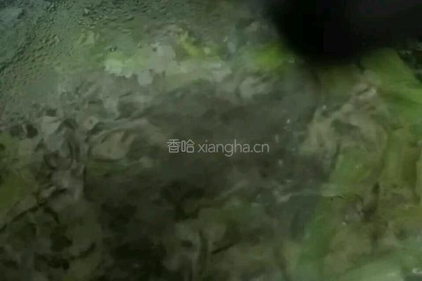 芹菜猪肉炖粉条的做法图解12