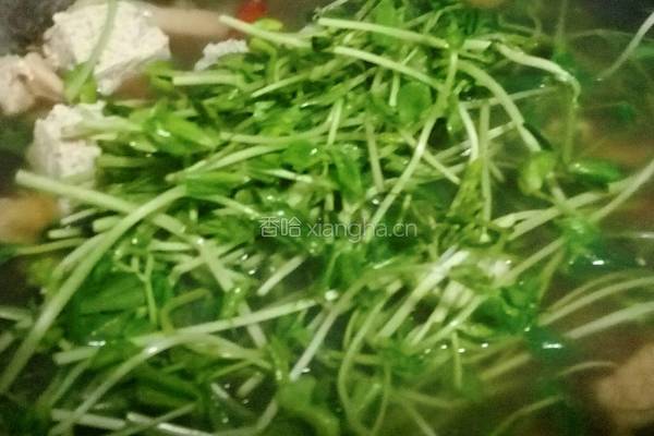 上汤豆苗的做法图解4