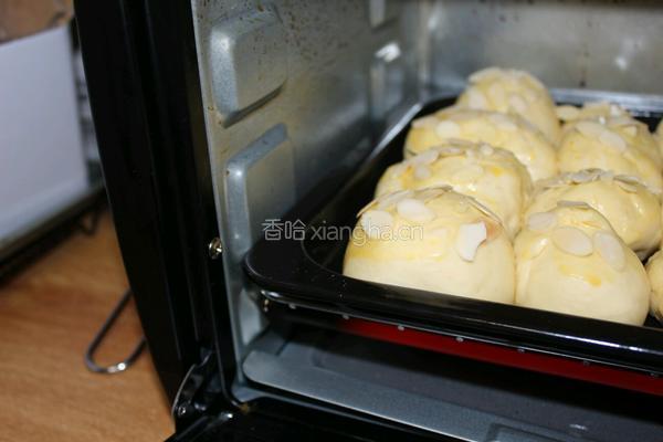 蜂蜜小餐包的做法图解9