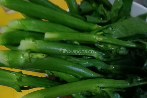 白灼芥兰菜的做法图解2