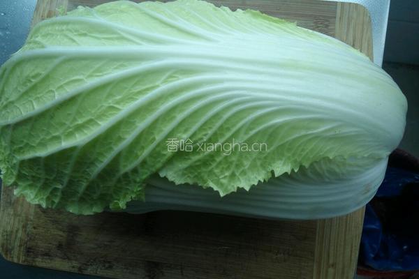 蒜茸辣椒酱大白菜的做法图解2