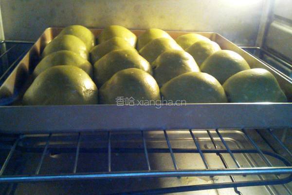 菠菜面豆沙小餐包的做法图解15
