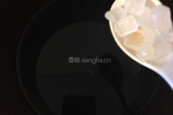 豉油鸡（简易版）的做法图解3