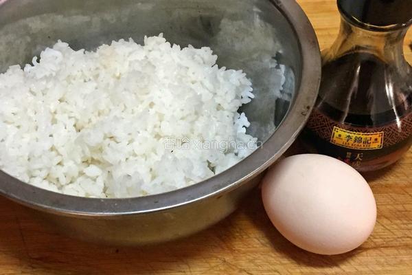 芝士奶酪焗饭的做法图解1